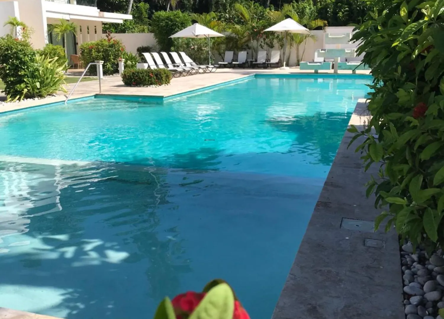 Splendide Penthouse, Vue Sur La Piscine, A 50 Metres De La Mer Las Terrenas 0*,