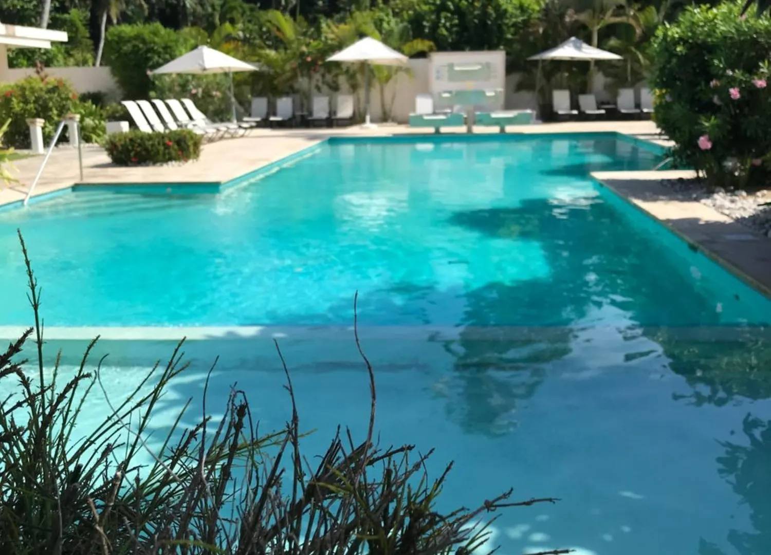 Splendide Penthouse, Vue Sur La Piscine, A 50 Metres De La Mer Las Terrenas Dominican Republic